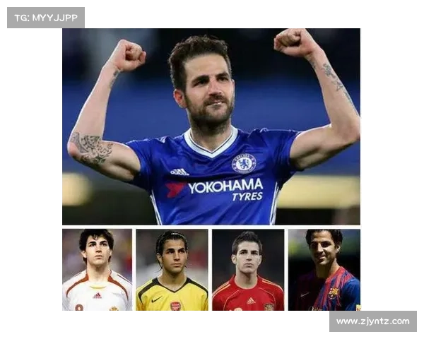 全面解读法甲冠军标志历史演变与象征意义的全景深度综合详尽指南